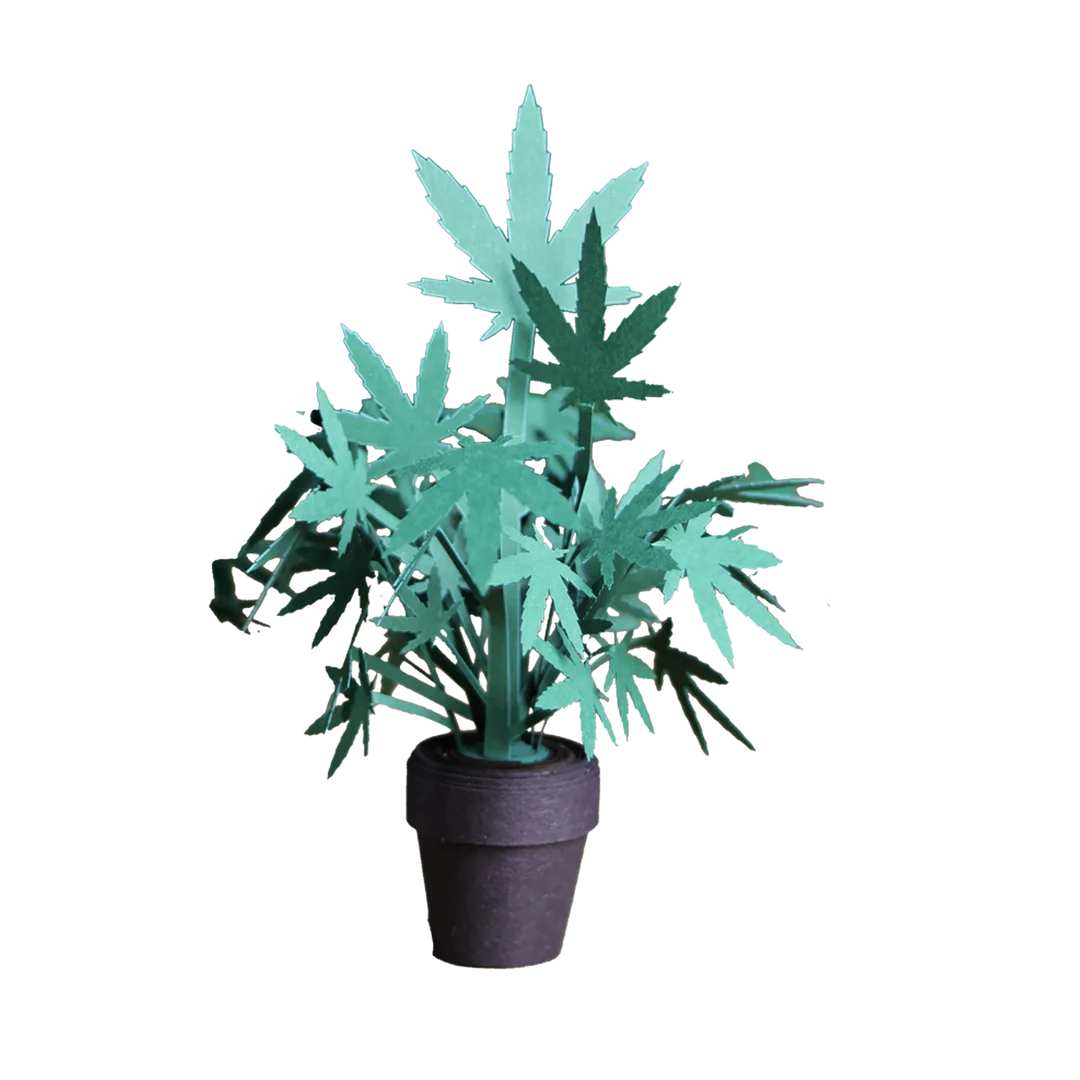 cannabis plastic plant Pikkii Paper Origami Sets