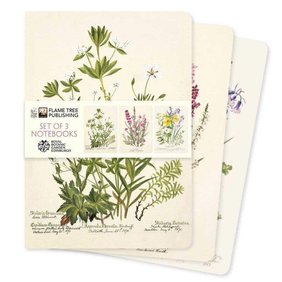 Royal Botanic Garden Edinburgh Set Of Three Notebooks