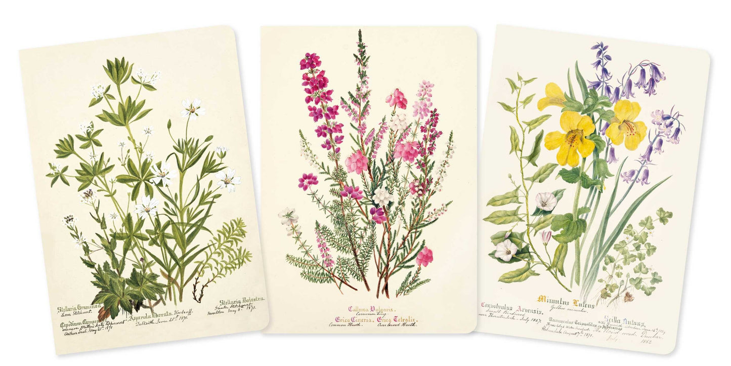 Royal Botanic Garden Edinburgh Set Of Three Notebooks