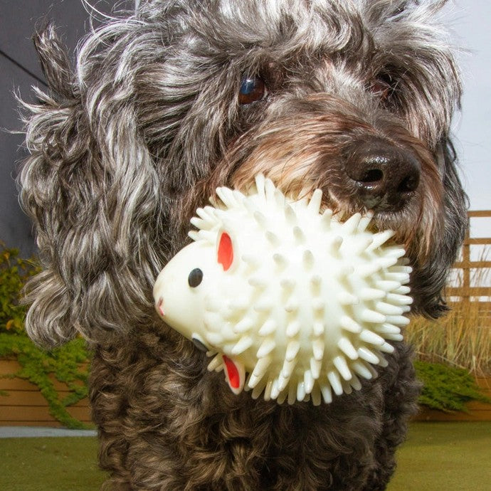 Sheep Dog Ball