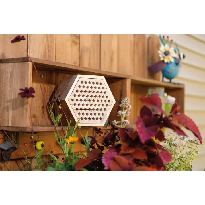 Solitary Bee Habitat