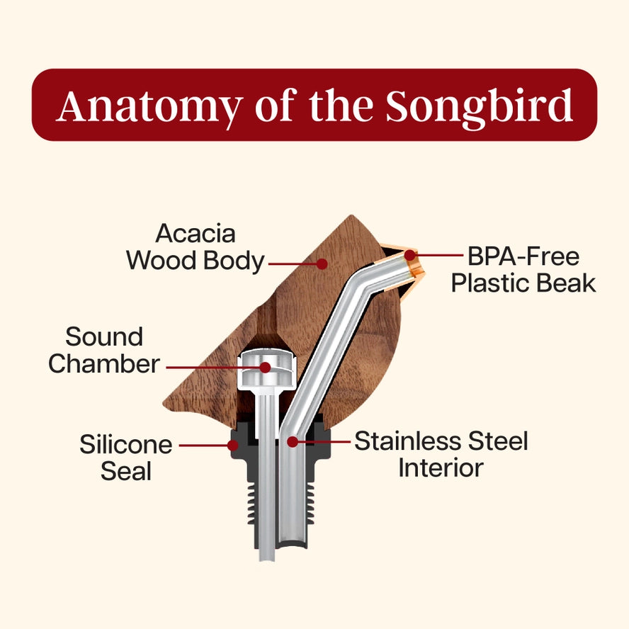 Songbird Singing Bottle Pourer Turquoise