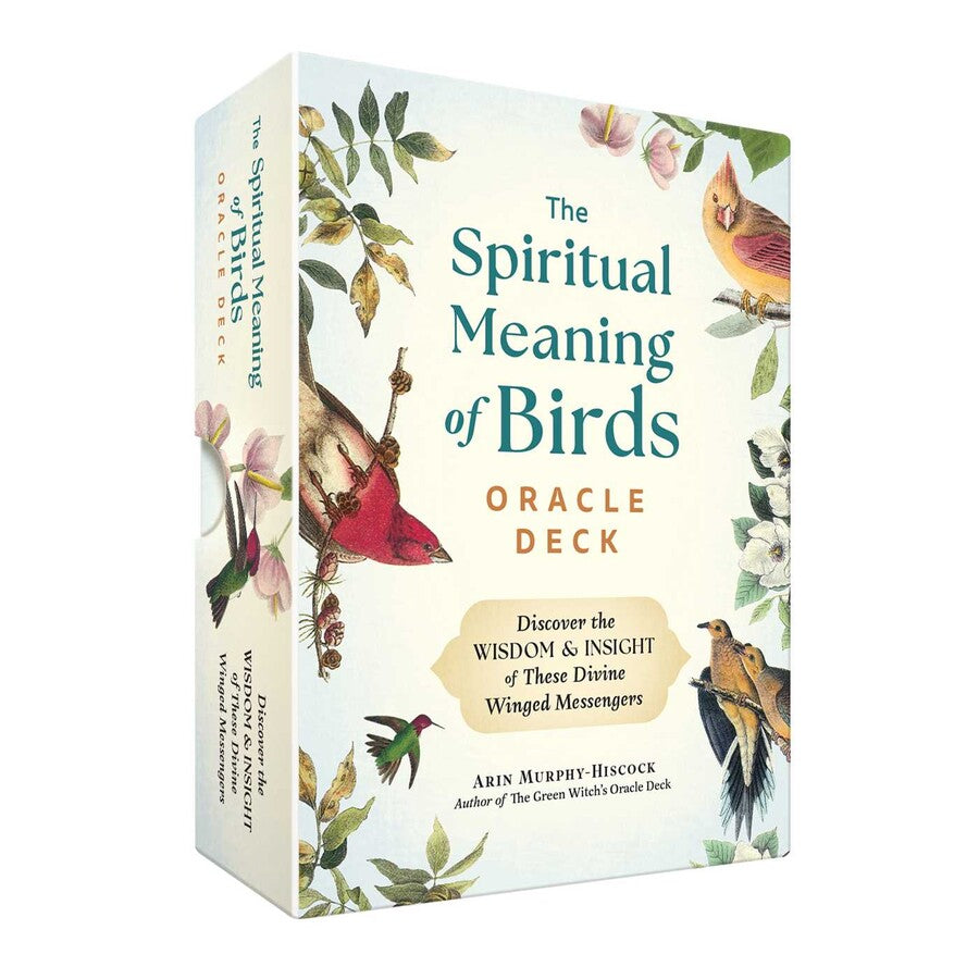 Spiritual Meaning Of Birds Oracle Deck