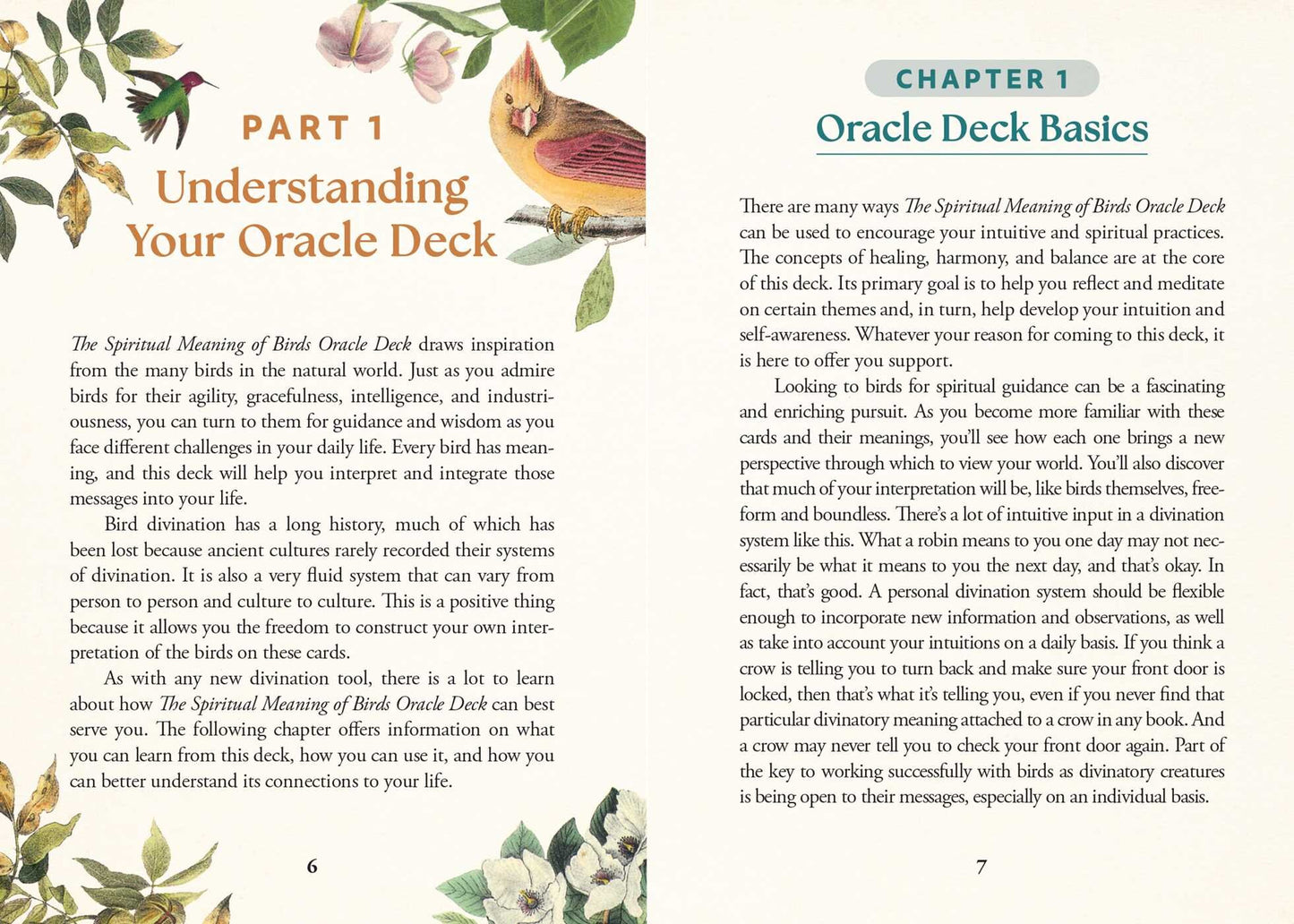Spiritual Meaning Of Birds Oracle Deck
