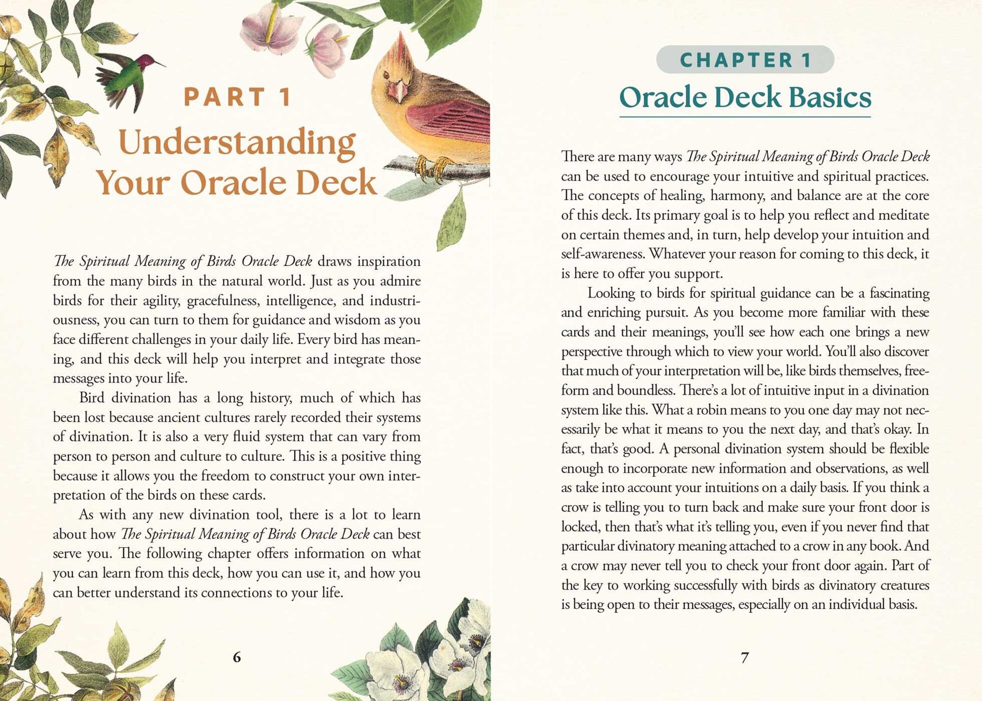 Spiritual Meaning Of Birds Oracle Deck