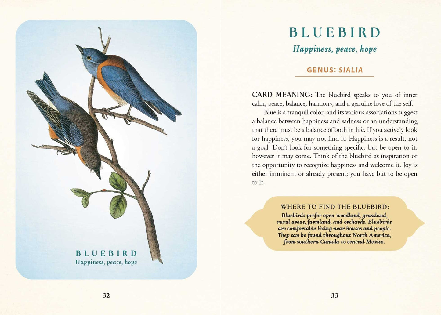 Spiritual Meaning Of Birds Oracle Deck