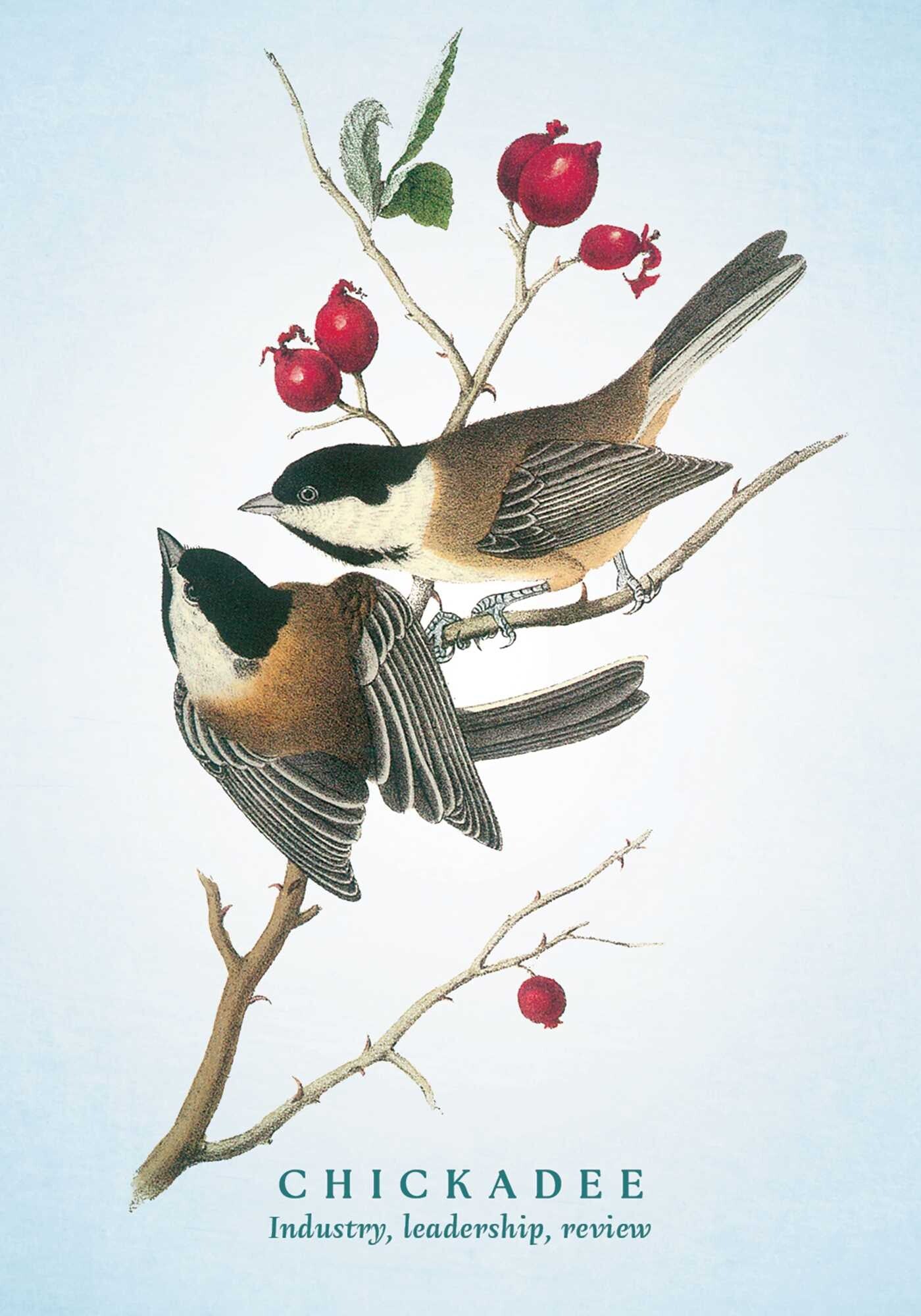 Spiritual Meaning Of Birds Oracle Deck