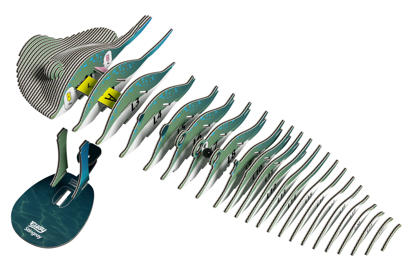 Stingray 3D Puzzle