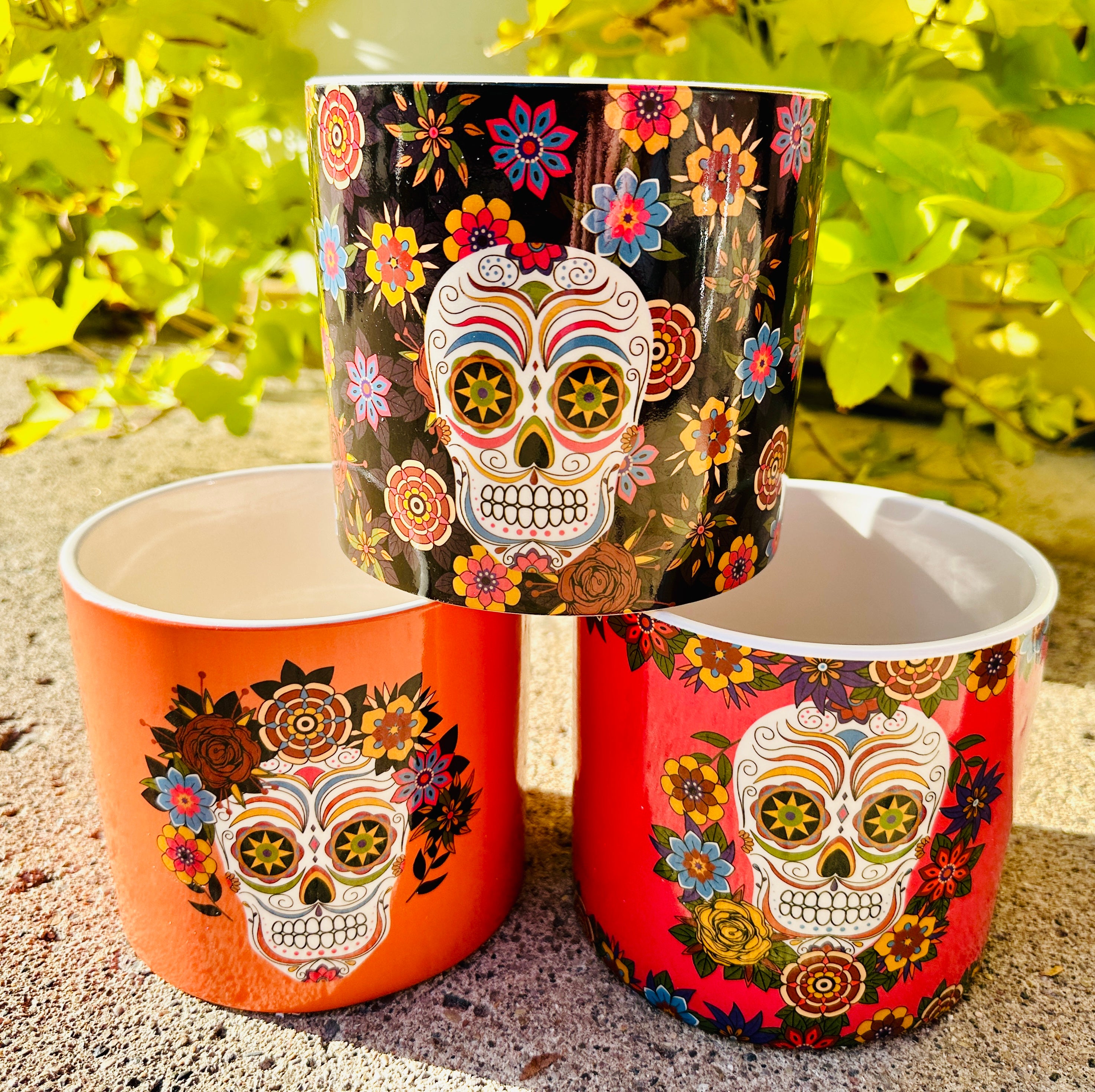 sugar skull succulent planter Sugar Skull Ceramic Planter Assorted