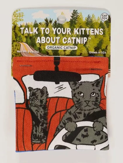 Talk To Your Kittens Catnip Toy
