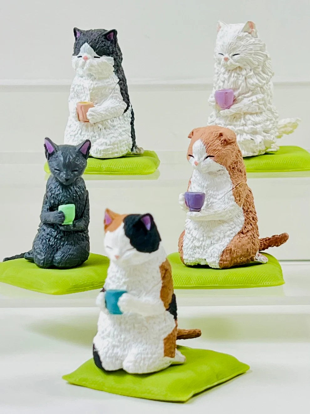 Tea Time Cats Blind Box