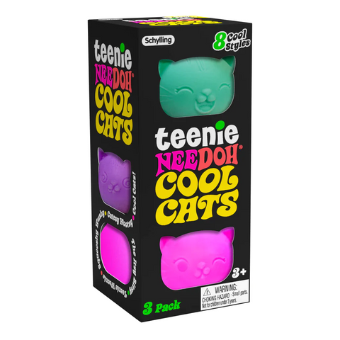 Teenie Cool Cat Nee Doh Pack