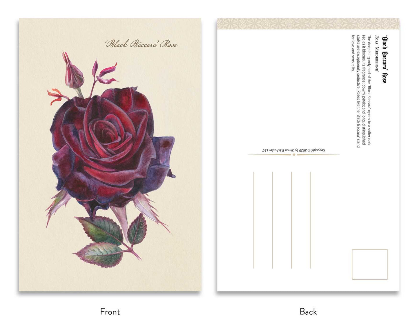 The Goth Garden Dark Blooms Postcard Set