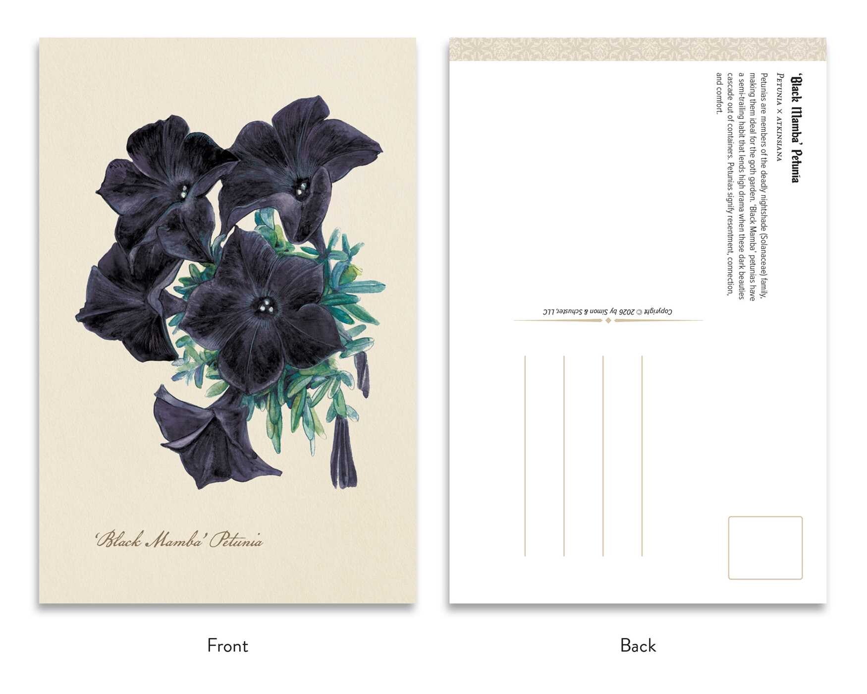 The Goth Garden Dark Blooms Postcard Set