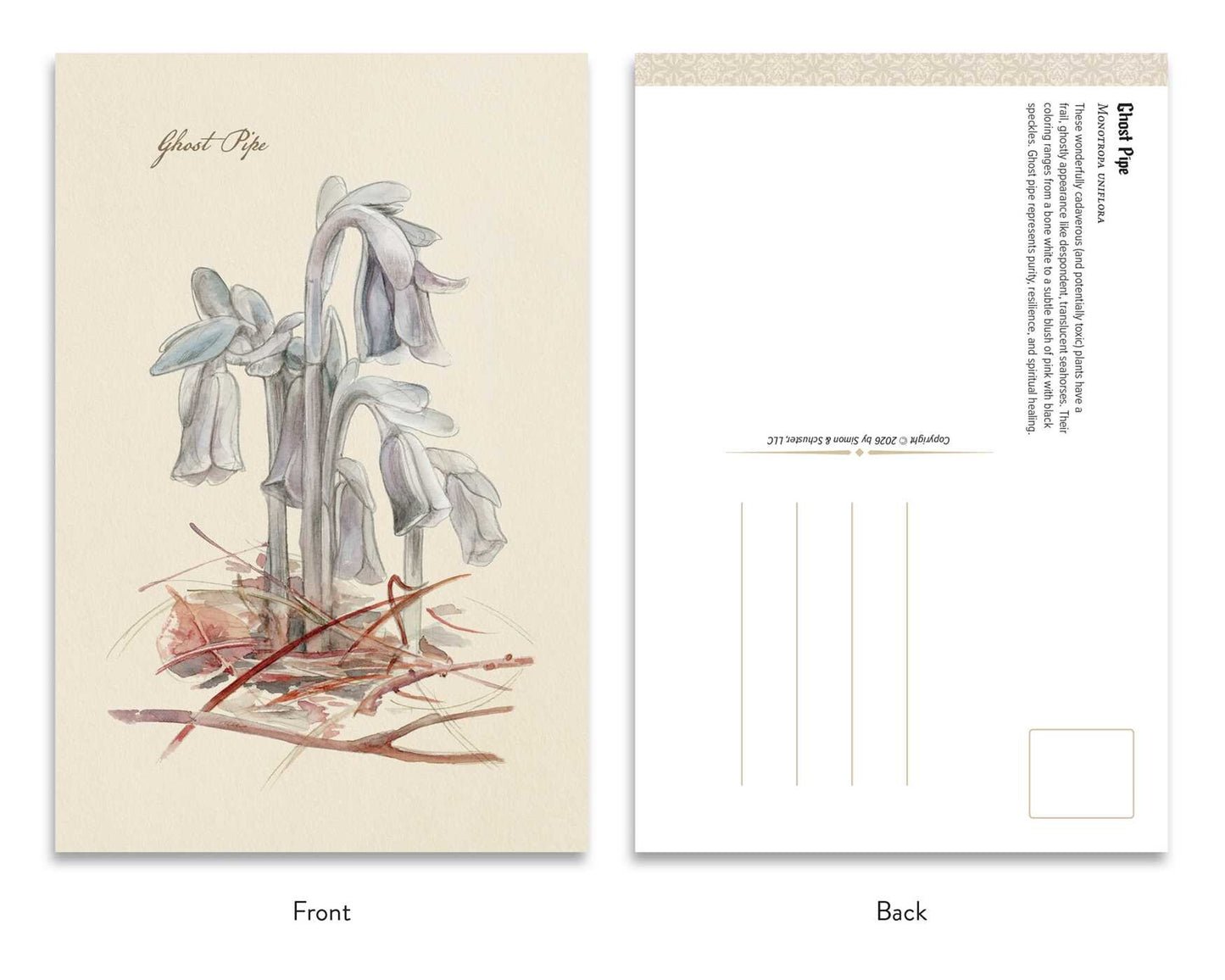 The Goth Garden Dark Blooms Postcard Set