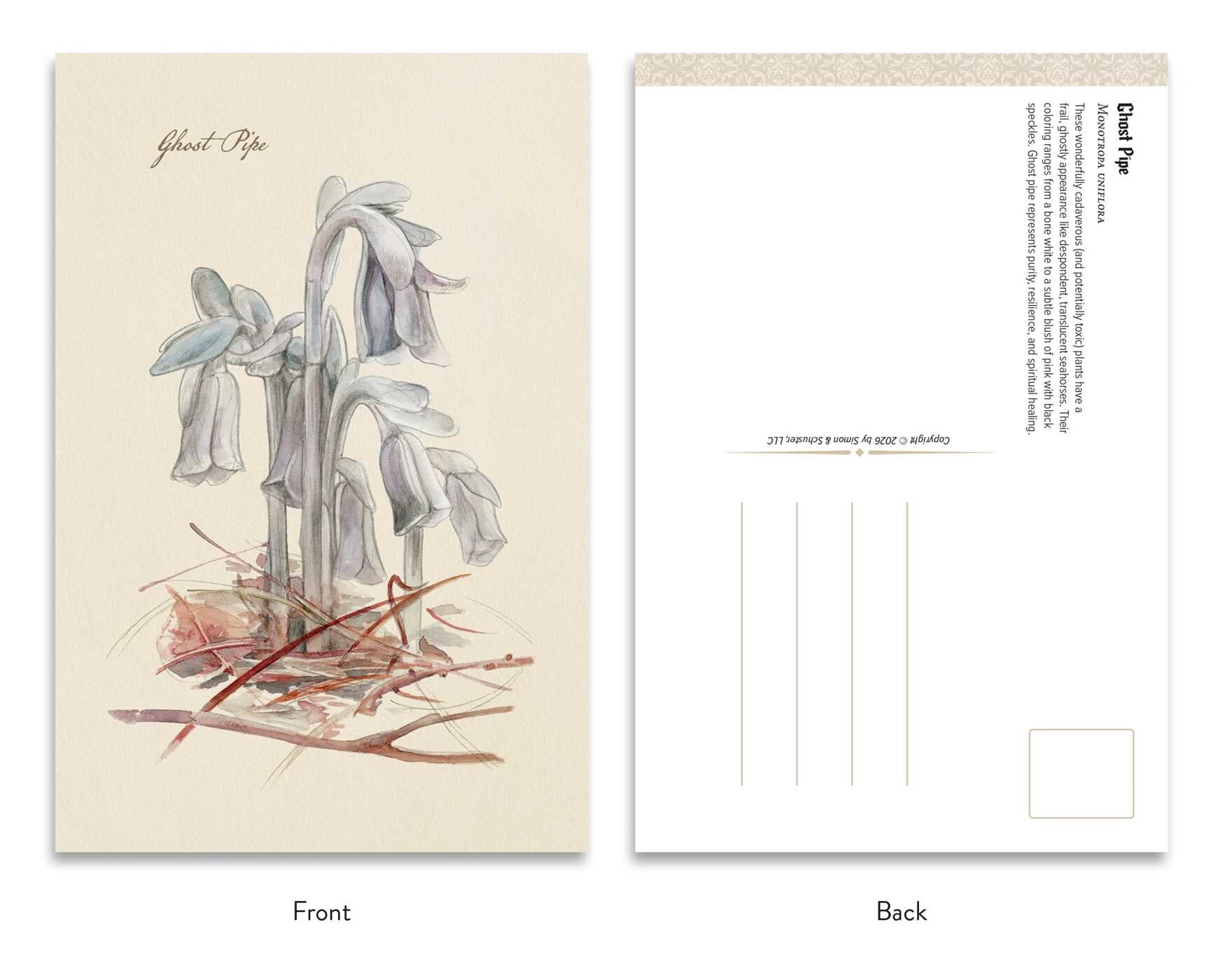 The Goth Garden Dark Blooms Postcard Set