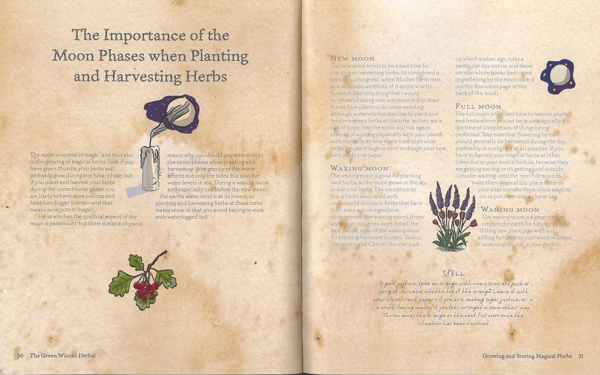 Green Wiccan Book Of Herbs