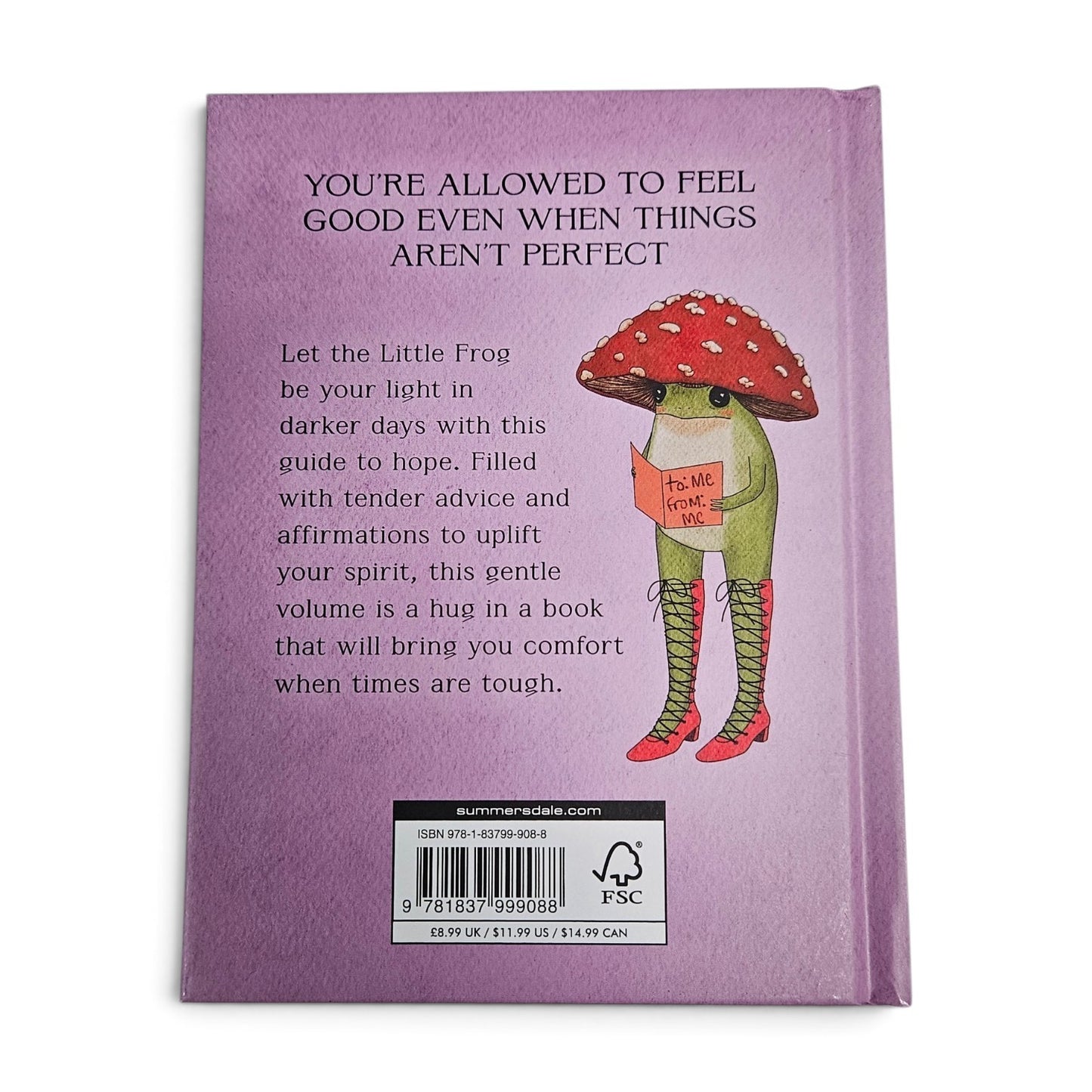 The Little Frog's Guide To Hope