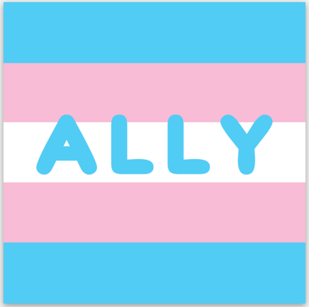 Trans Flag Ally Vinyl Sticker