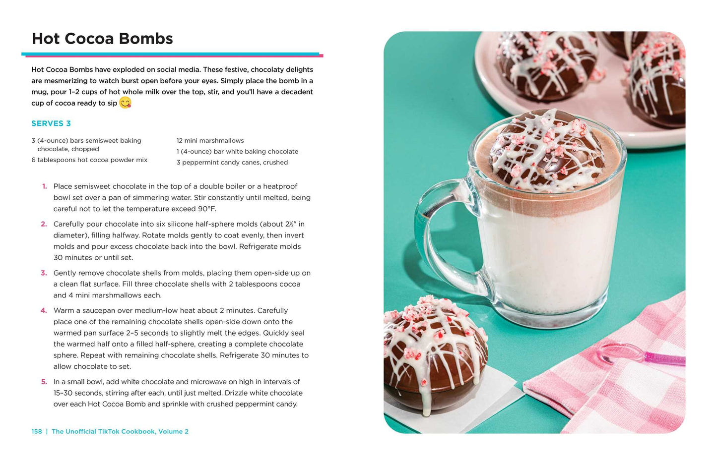 Unofficial TikTok Cookbook Volume 2