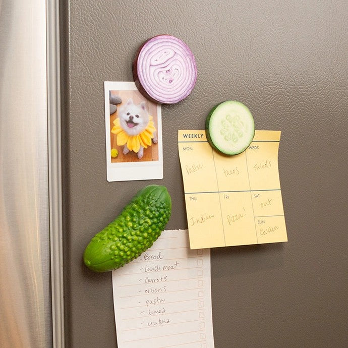 Vegetable Magnets