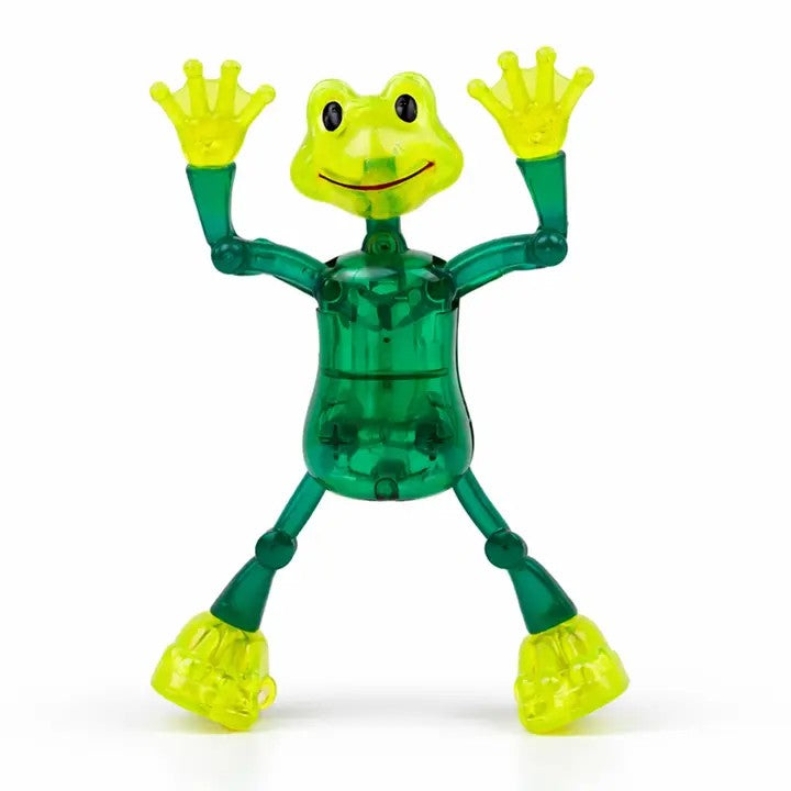 Wind-Up Filbert Slider Frog Toy