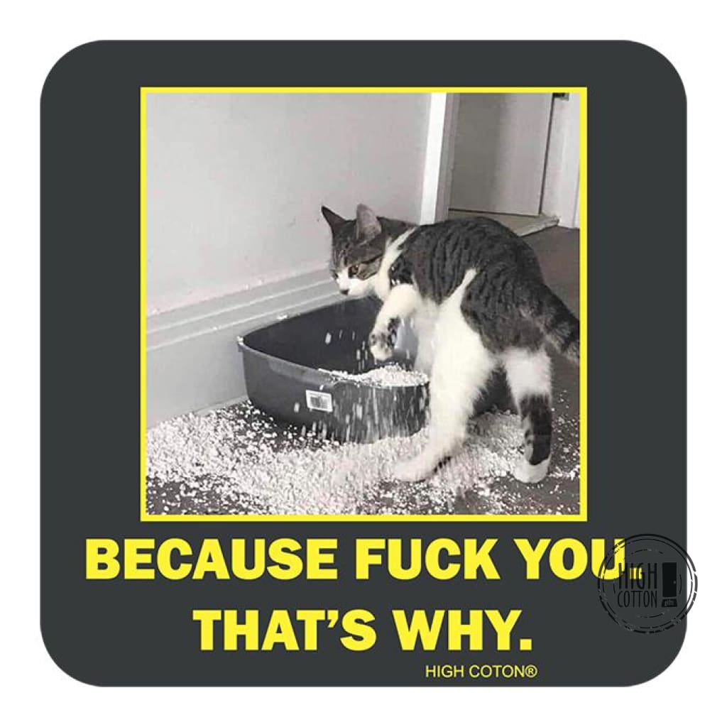 Because Fuck You That's Why Cat Coaster