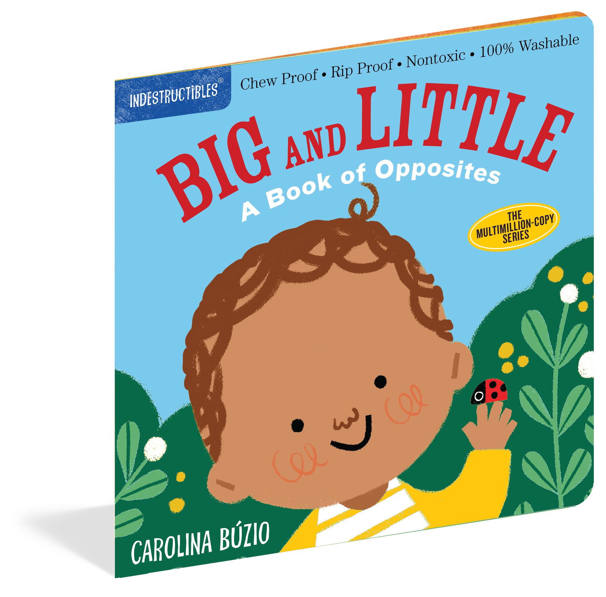 Big & Little Opposites Indestructibles Book