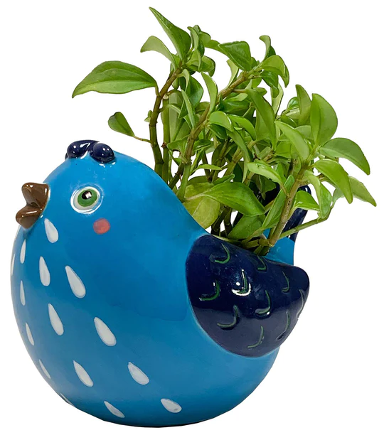 Bluebird Planter Pot