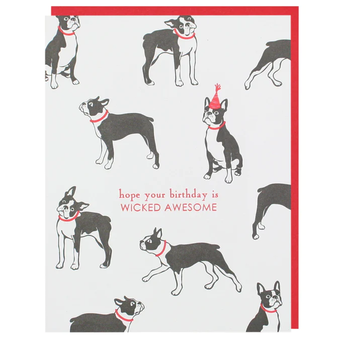 Card Boston Terrier Wicked Birthday