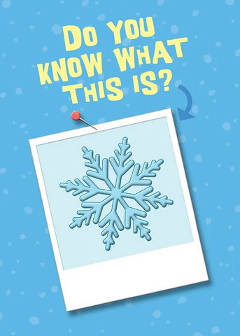 Card Snowflake Polaroid Christmas