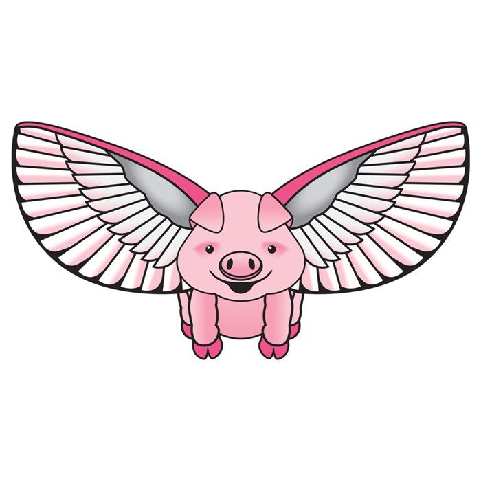 Flying Pig 2D Super Kite