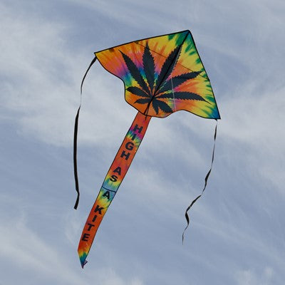 Kite High As A Kite Fly-Hi