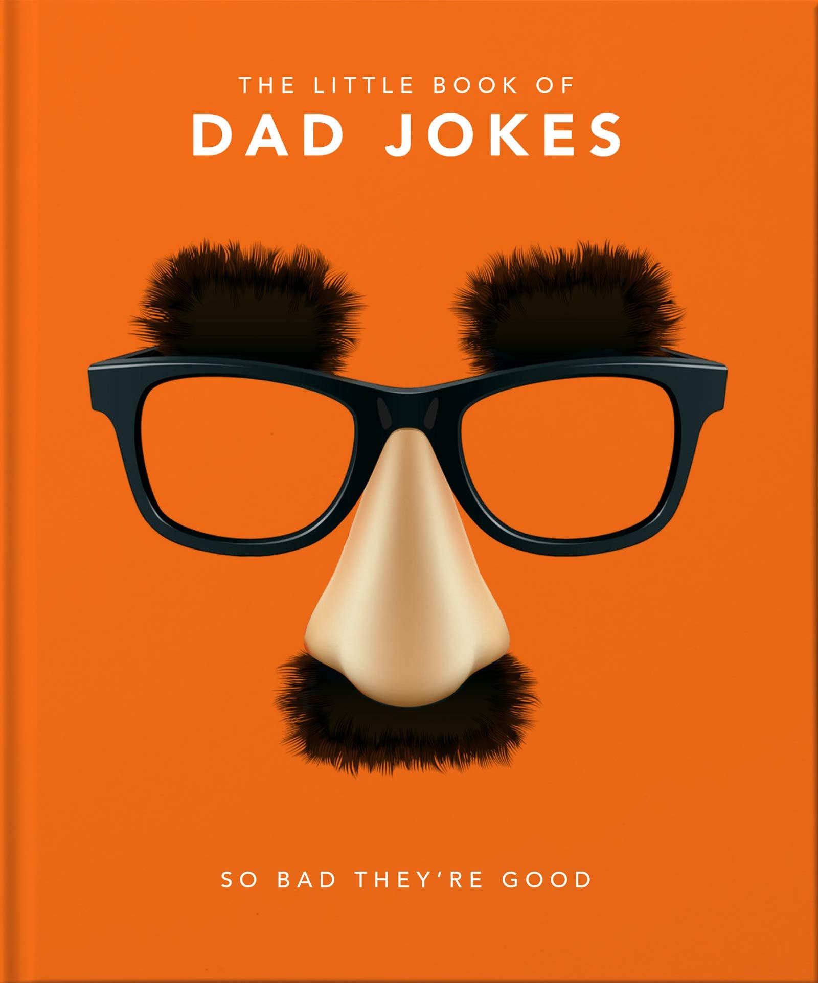 Little Book Of Dad Jokes