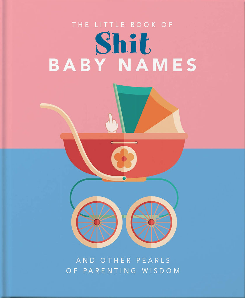 Little Book Of Shit Baby Names