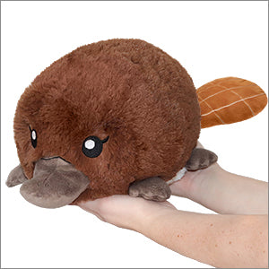 Mini Baby Platypus Plush 8.5"