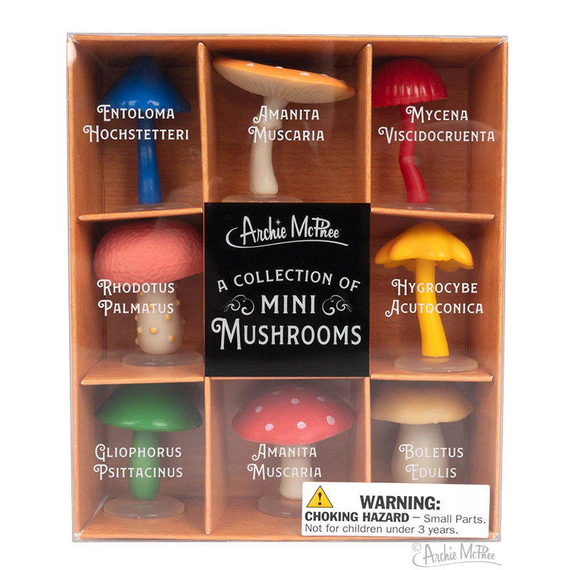 Mini Mushroom Collection