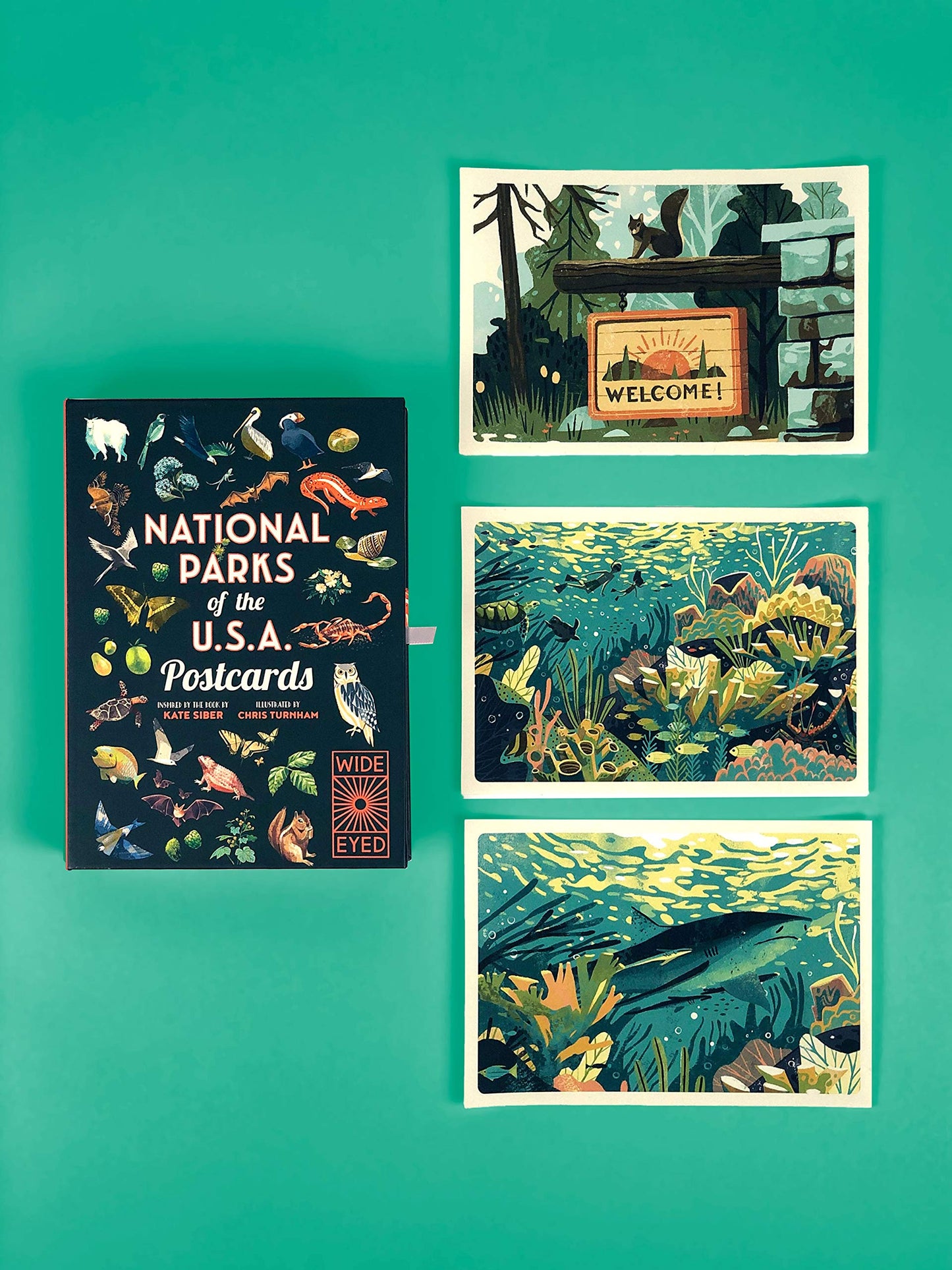 National Parks Of USA Postcards