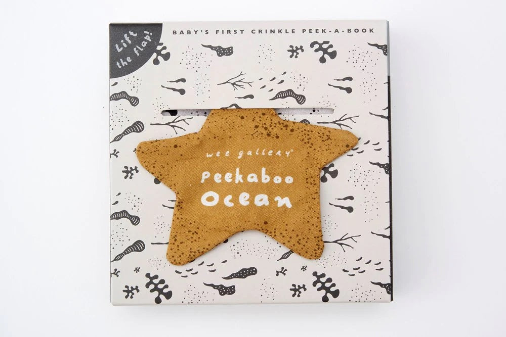 Peekaboo Ocean Book