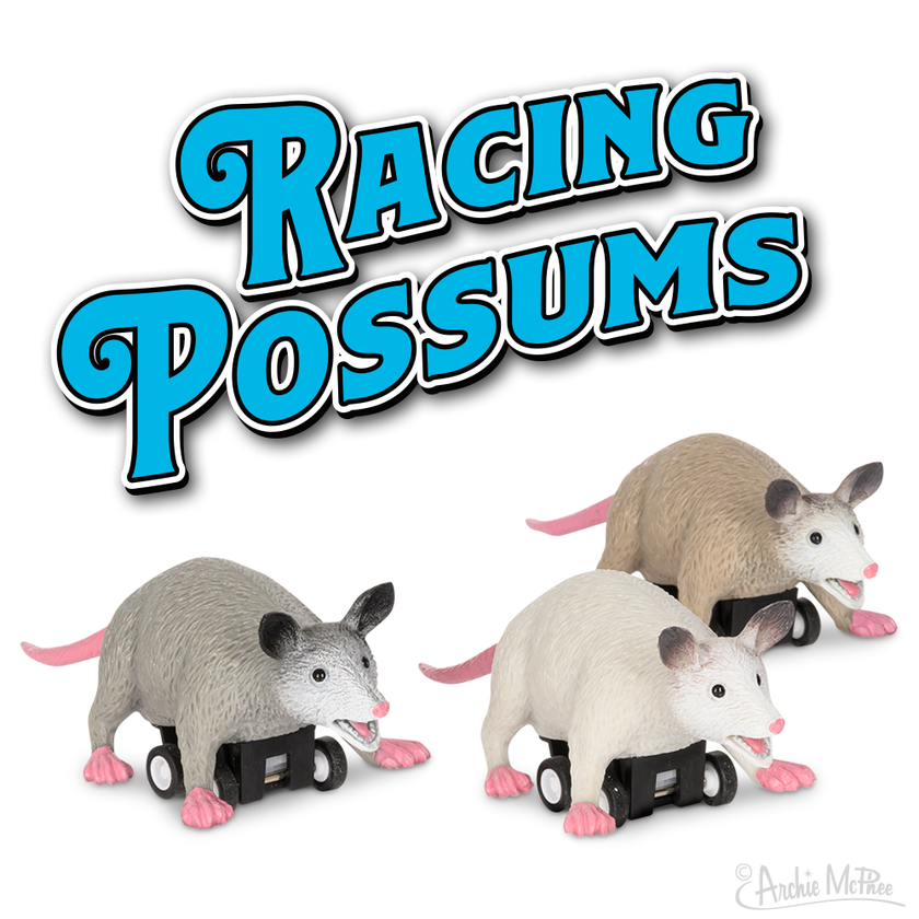 Racing Possum