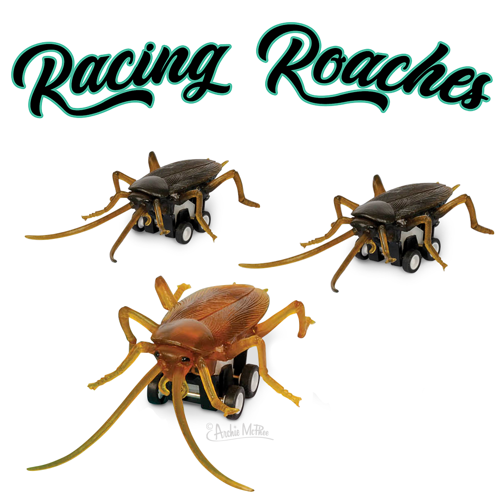 Racing Roach