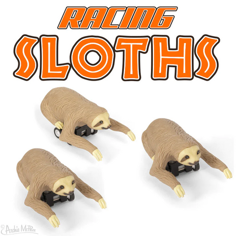 Racing Sloth