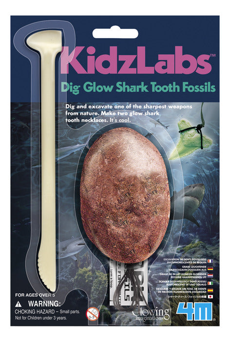 Artificial Shark Tooth Fossil Excavation Kit