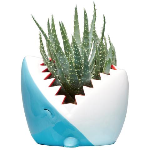 Shark Planter Pot