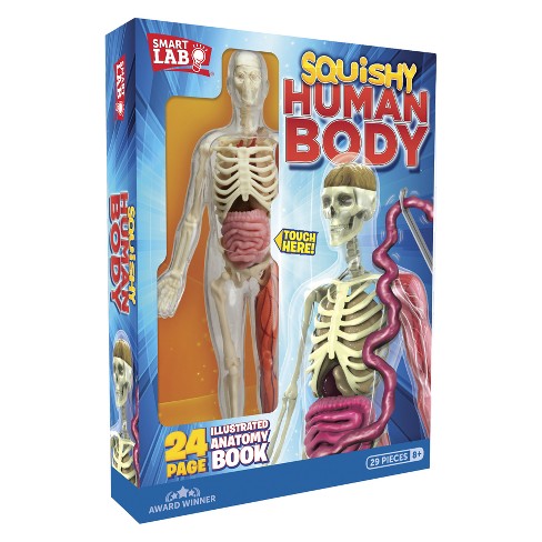 Squishy Human Body Kit