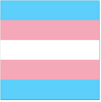 Trans Flag Holographic Sticker