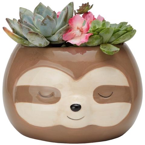 Zen Sloth Planter Pot