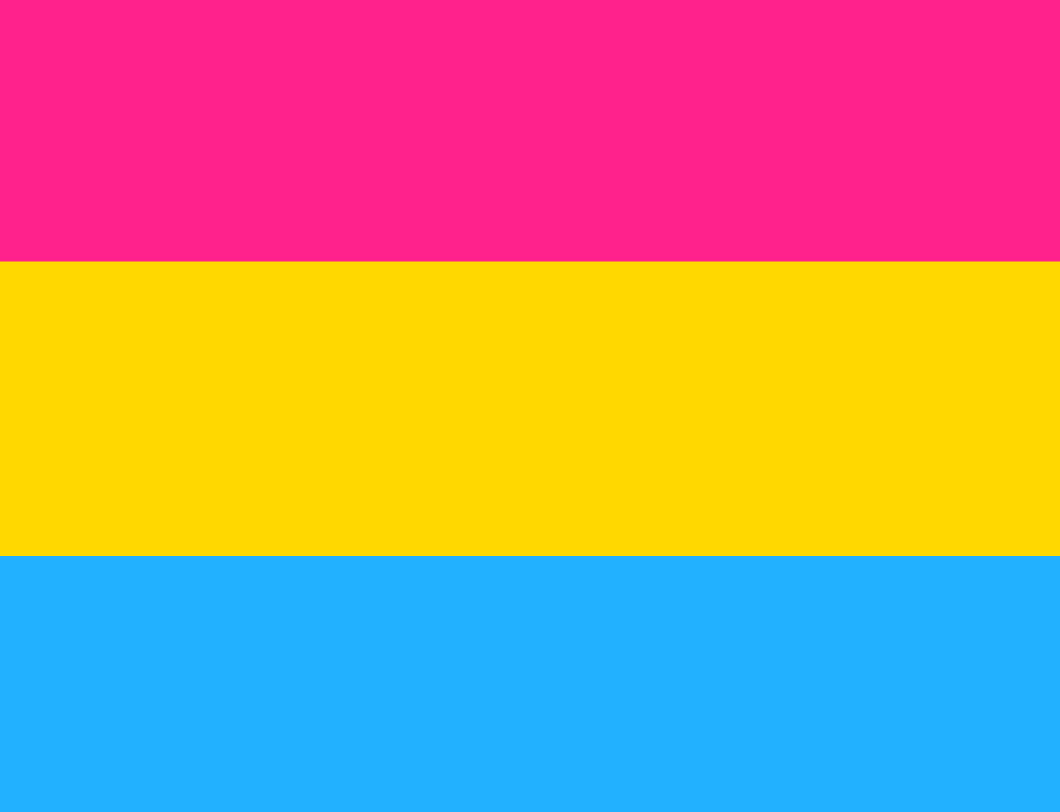 MAGNET Pansexual Flag
